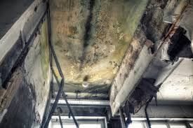 Asbestos and Lead Testing During Mold Inspection in Rahway, NJ